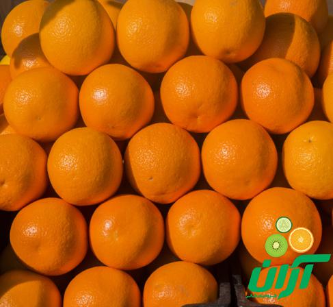 فروش مستقیم پرتقال صادراتی عمده
