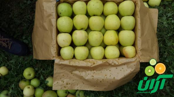 چند نکته درباره صادرات سیب درختی ممتاز