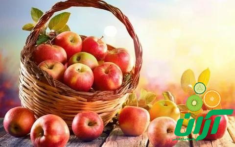 سیب گیلان | خرید انواع سیب گیلان در بسته بندی مختلف